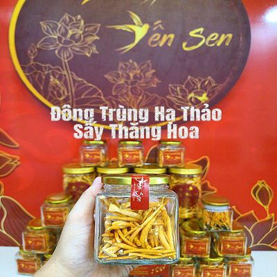 Đông Trùng Hạ Thảo 10 gram