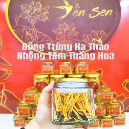 Đông Trùng Ký Chủ Nhộng Tằm