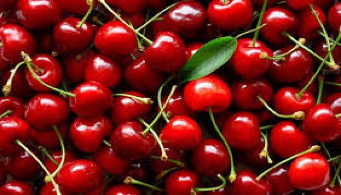 Tại sao Cherry tại Việt Nam lại có giá thành cao hơn rất nhiều các loại trái cây nhập khẩu
